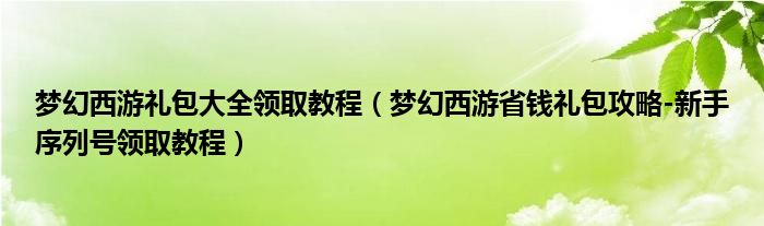梦幻西游礼包大全领取教程（梦幻西游省钱礼包攻略-新手序列号领取教程）