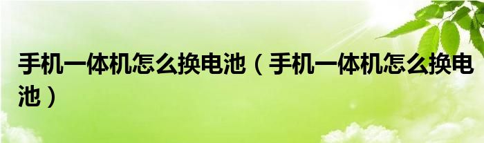 手机一体机怎么换电池（手机一体机怎么换电池）