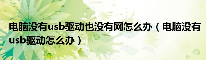 电脑没有usb驱动也没有网怎么办（电脑没有usb驱动怎么办）