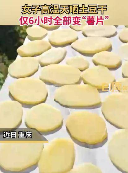 重庆女子晒土豆片，六个小时变“薯片”，网友：这才是空气炸锅！45℃，重庆这一地又创高温新纪录……