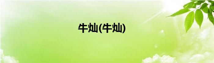 牛灿(牛灿)