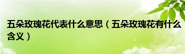 五朵玫瑰花代表什么意思（五朵玫瑰花有什么含义）