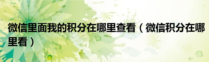 微信里面我的积分在哪里查看（微信积分在哪里看）