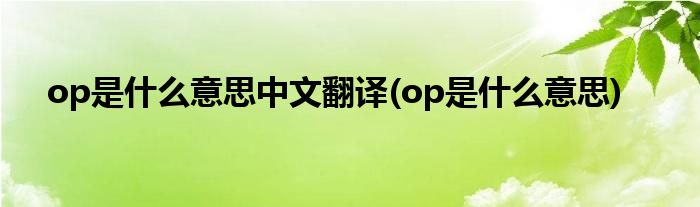 op是什么意思中文翻译(op是什么意思)