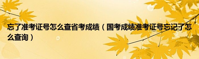 忘了准考证号怎么查省考成绩（国考成绩准考证号忘记了怎么查询）