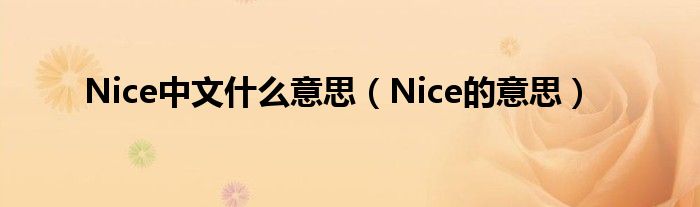 Nice中文什么意思（Nice的意思）