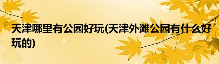 天津哪里有公园好玩(天津外滩公园有什么好玩的)