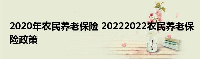 2020年农民养老保险 20222022农民养老保险政策