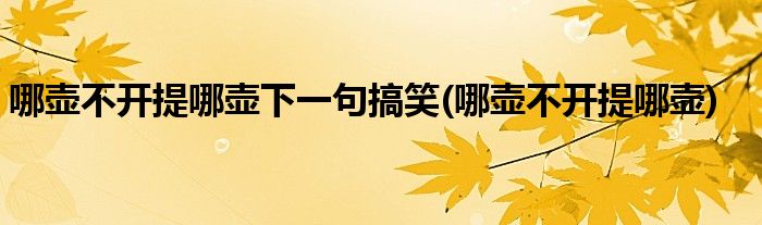 哪壶不开提哪壶下一句搞笑(哪壶不开提哪壶)