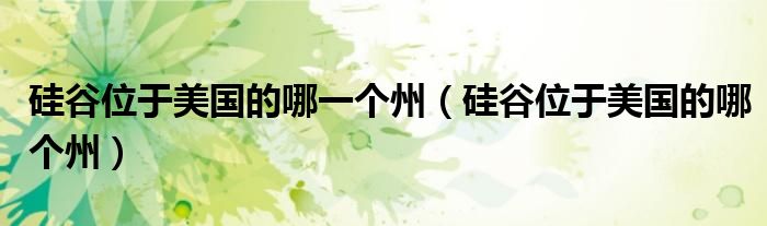 硅谷位于美国的哪一个州（硅谷位于美国的哪个州）