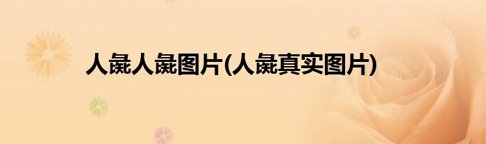 人彘人彘图片(人彘真实图片)