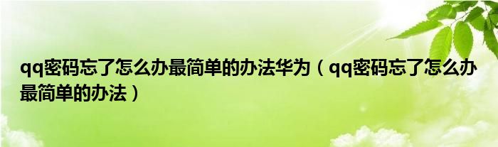 qq密码忘了怎么办最简单的办法华为（qq密码忘了怎么办最简单的办法）