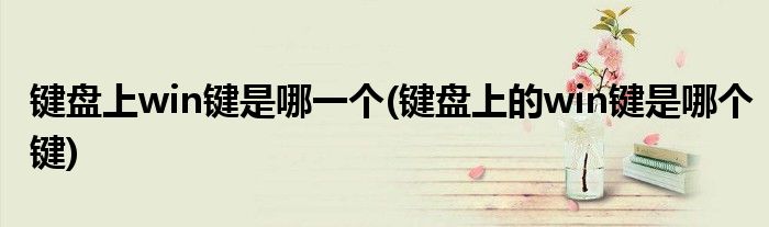 键盘上win键是哪一个(键盘上的win键是哪个键)