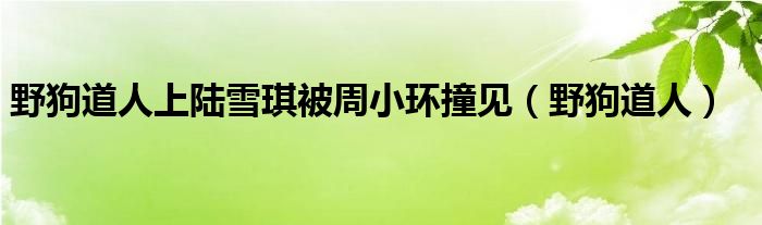 野狗道人上陆雪琪被周小环撞见（野狗道人）