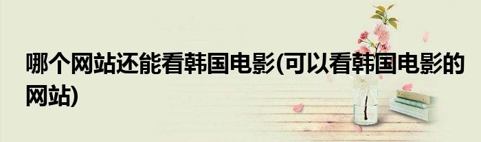 哪个网站还能看韩国电影(可以看韩国电影的网站)