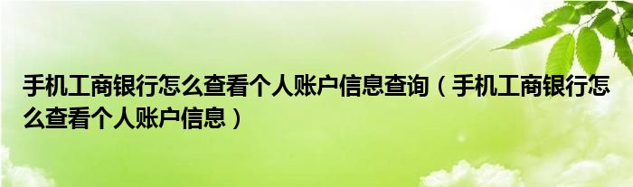手机工商银行怎么查看个人账户信息查询（手机工商银行怎么查看个人账户信息）