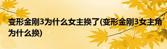 变形金刚3为什么女主换了(变形金刚3女主角为什么换)