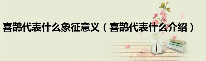 喜鹊代表什么象征意义（喜鹊代表什么介绍）
