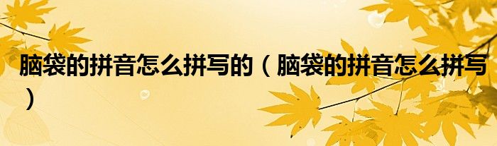 脑袋的拼音怎么拼写的（脑袋的拼音怎么拼写）