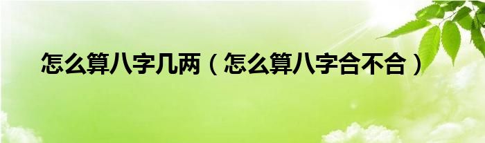 怎么算八字几两（怎么算八字合不合）
