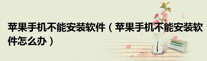 苹果手机不能安装软件（苹果手机不能安装软件怎么办）