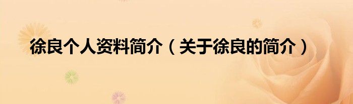 徐良个人资料简介（关于徐良的简介）