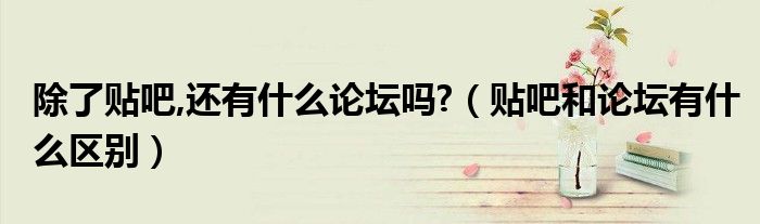 除了贴吧,还有什么论坛吗?（贴吧和论坛有什么区别）
