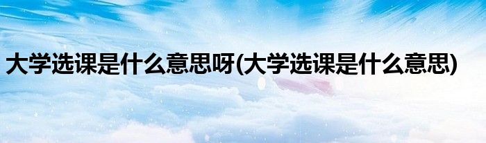大学选课是什么意思呀(大学选课是什么意思)