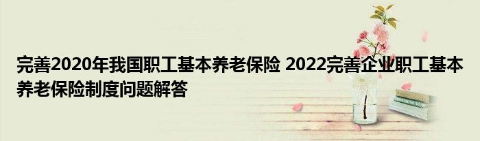 完善2020年我国职工基本养老保险 2022完善企业职工基本养老保险制度问题解答