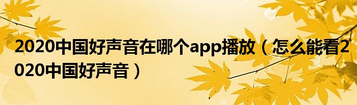 2020中国好声音在哪个app播放（怎么能看2020中国好声音）