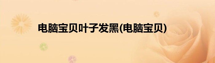 电脑宝贝叶子发黑(电脑宝贝)
