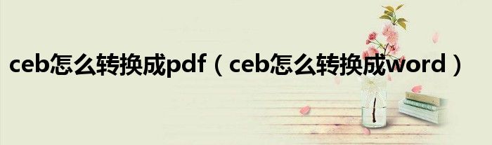 ceb怎么转换成pdf（ceb怎么转换成word）