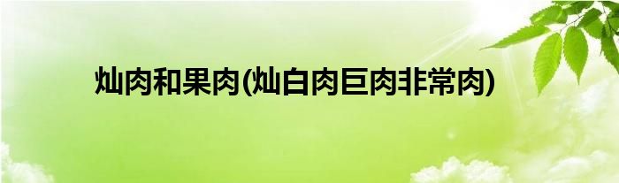 灿肉和果肉(灿白肉巨肉非常肉)