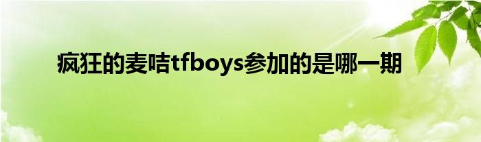 疯狂的麦咭tfboys参加的是哪一期