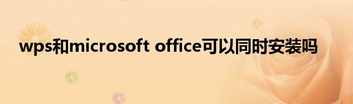 wps和microsoft office可以同时安装吗
