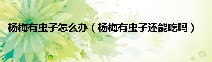 杨梅有虫子怎么办（杨梅有虫子还能吃吗）