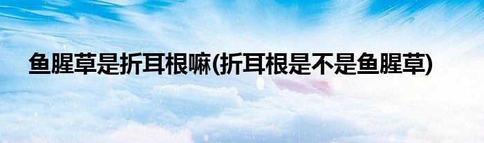 鱼腥草是折耳根嘛(折耳根是不是鱼腥草)