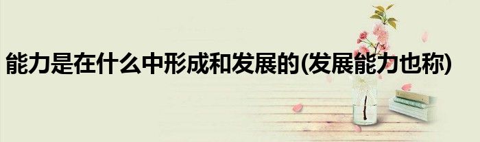 能力是在什么中形成和发展的(发展能力也称)