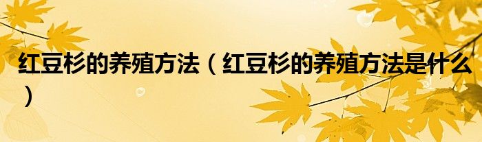 红豆杉的养殖方法（红豆杉的养殖方法是什么）