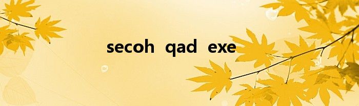 secoh qad exe
