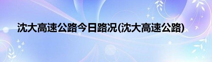沈大高速公路今日路况(沈大高速公路)