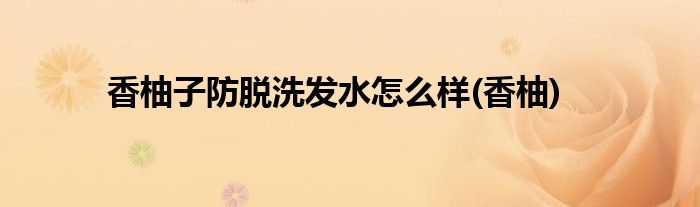 香柚子防脱洗发水怎么样(香柚)