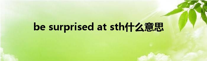 be surprised at sth什么意思