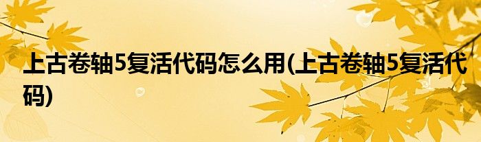 上古卷轴5复活代码怎么用(上古卷轴5复活代码)