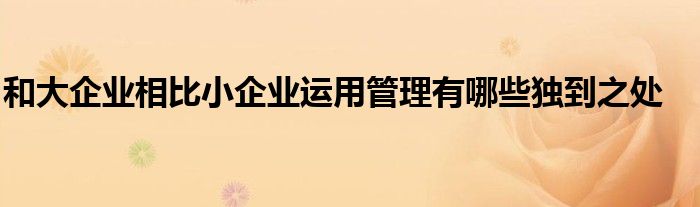 和大企业相比小企业运用管理有哪些独到之处