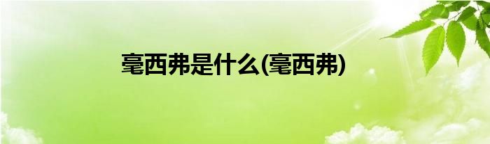 毫西弗是什么(毫西弗)