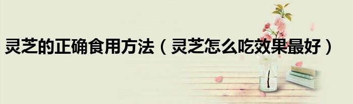 灵芝的正确食用方法（灵芝怎么吃效果更好）