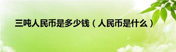 三吨人民币是多少钱（人民币是什么）