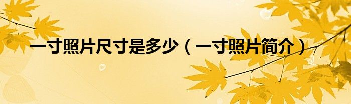 一寸照片尺寸是多少（一寸照片简介）