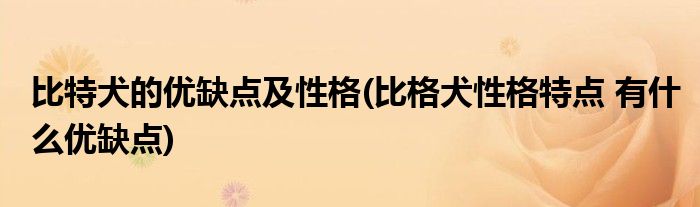 比特犬的优缺点及性格(比格犬性格特点 有什么优缺点)